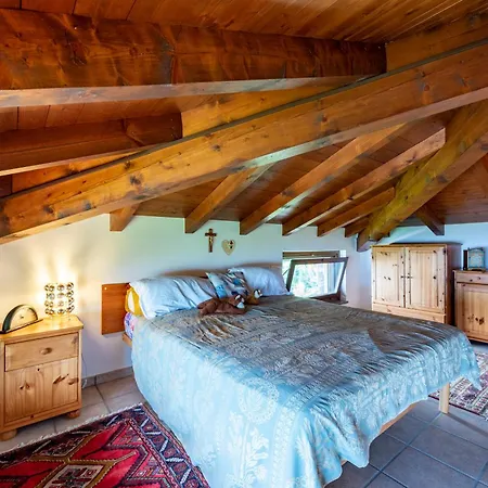 Il Dipinto Sul Center - Happy Stresa